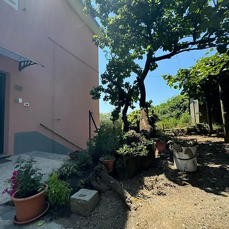 Ca' Dii Buersa - Homy 5 Terre *